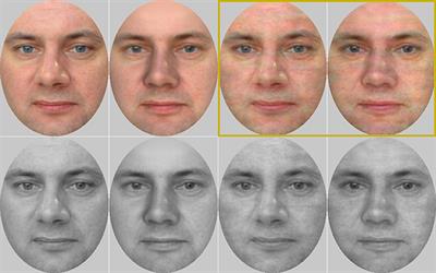 Those Virtual People all Look the Same to me: Computer-Rendered Faces Elicit a Higher False Alarm Rate Than Real Human Faces in a Recognition Memory Task